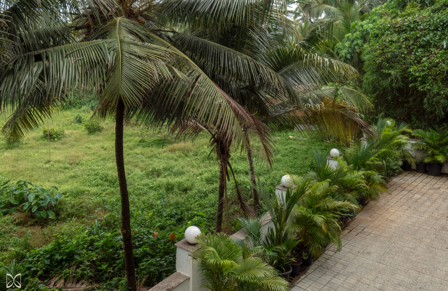 Stylish 1 Bed Apt - North Goa